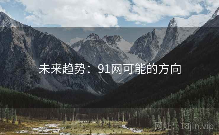 未来趋势：91网可能的方向