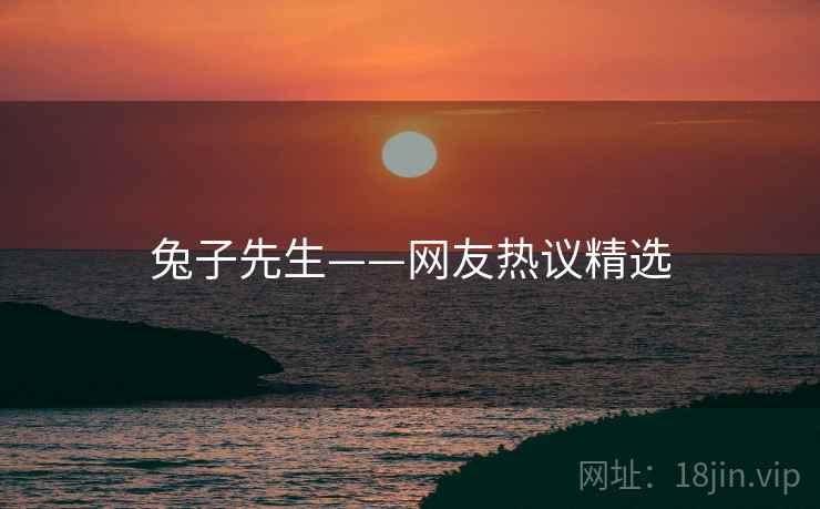 兔子先生——网友热议精选