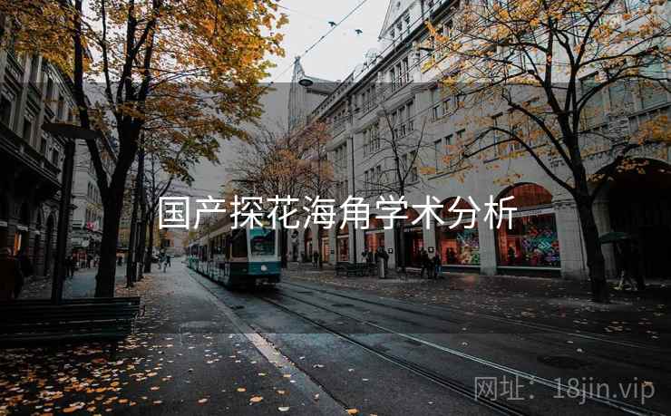 国产探花海角学术分析