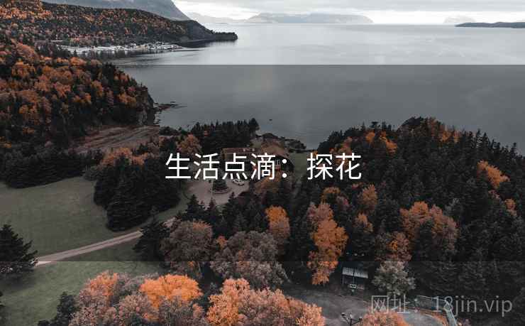 生活点滴：探花