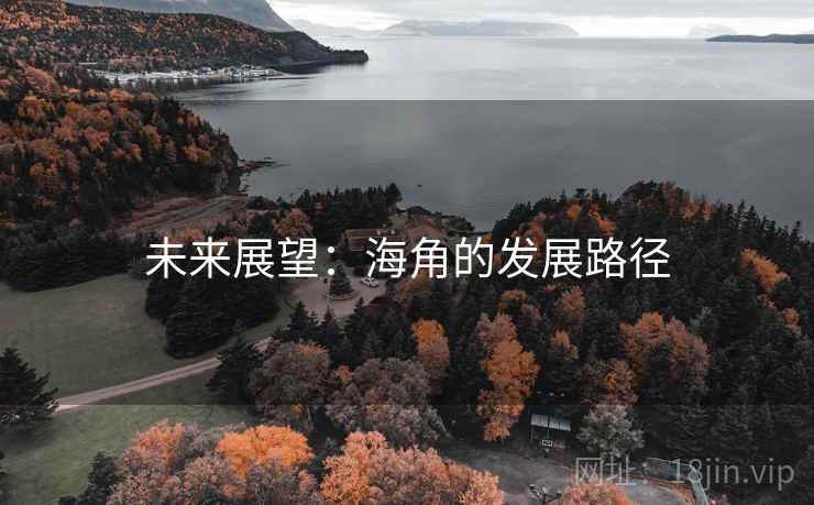 未来展望：海角的发展路径