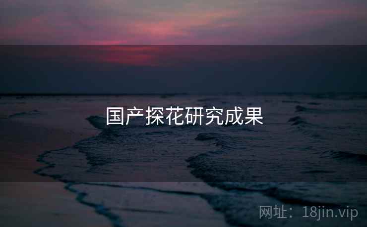 国产探花研究成果