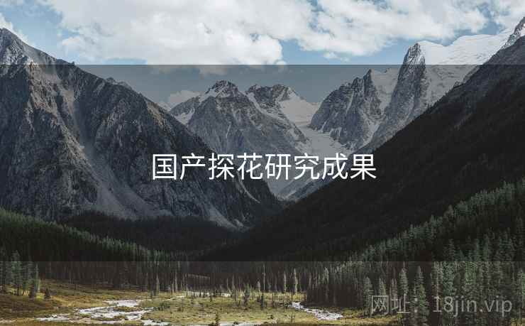 国产探花研究成果