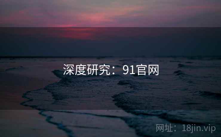 深度研究：91官网