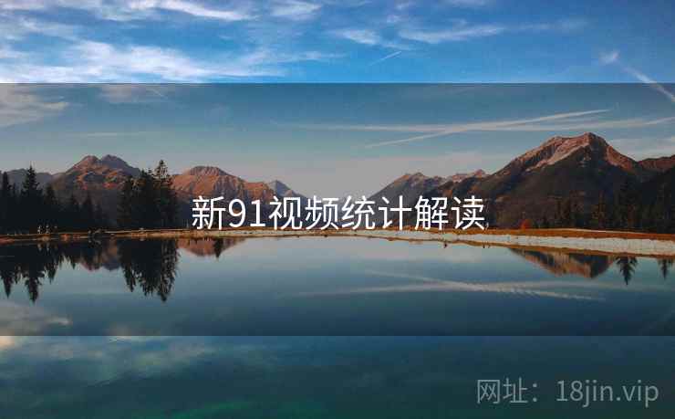 新91视频统计解读