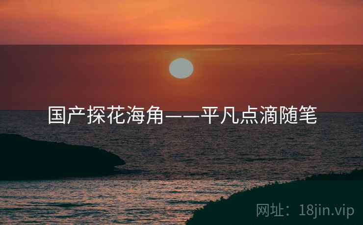 国产探花海角——平凡点滴随笔