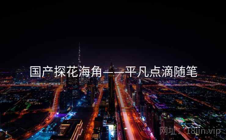 国产探花海角——平凡点滴随笔