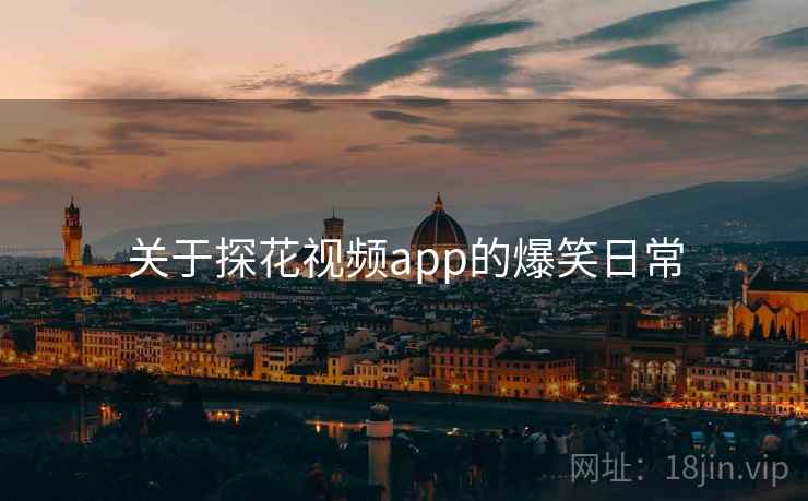 关于探花视频app的爆笑日常