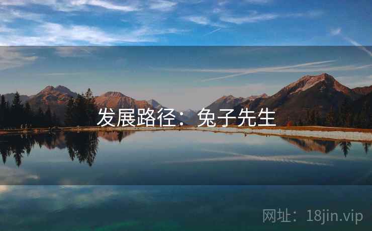 发展路径:兔子先生