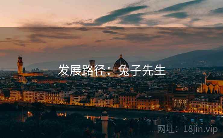 发展路径:兔子先生