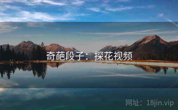 奇葩段子：探花视频