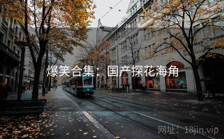 爆笑合集:国产探花海角