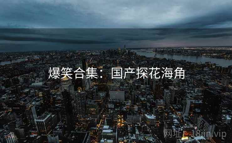 爆笑合集:国产探花海角