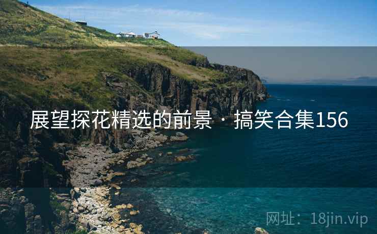 展望探花精选的前景 · 搞笑合集156