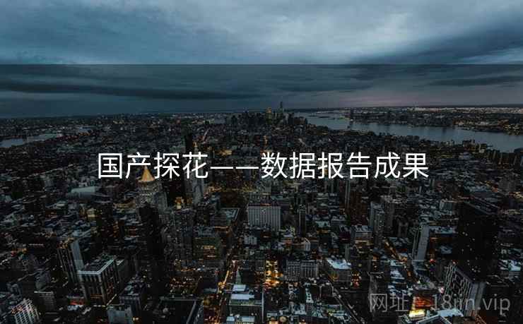 国产探花——数据报告成果